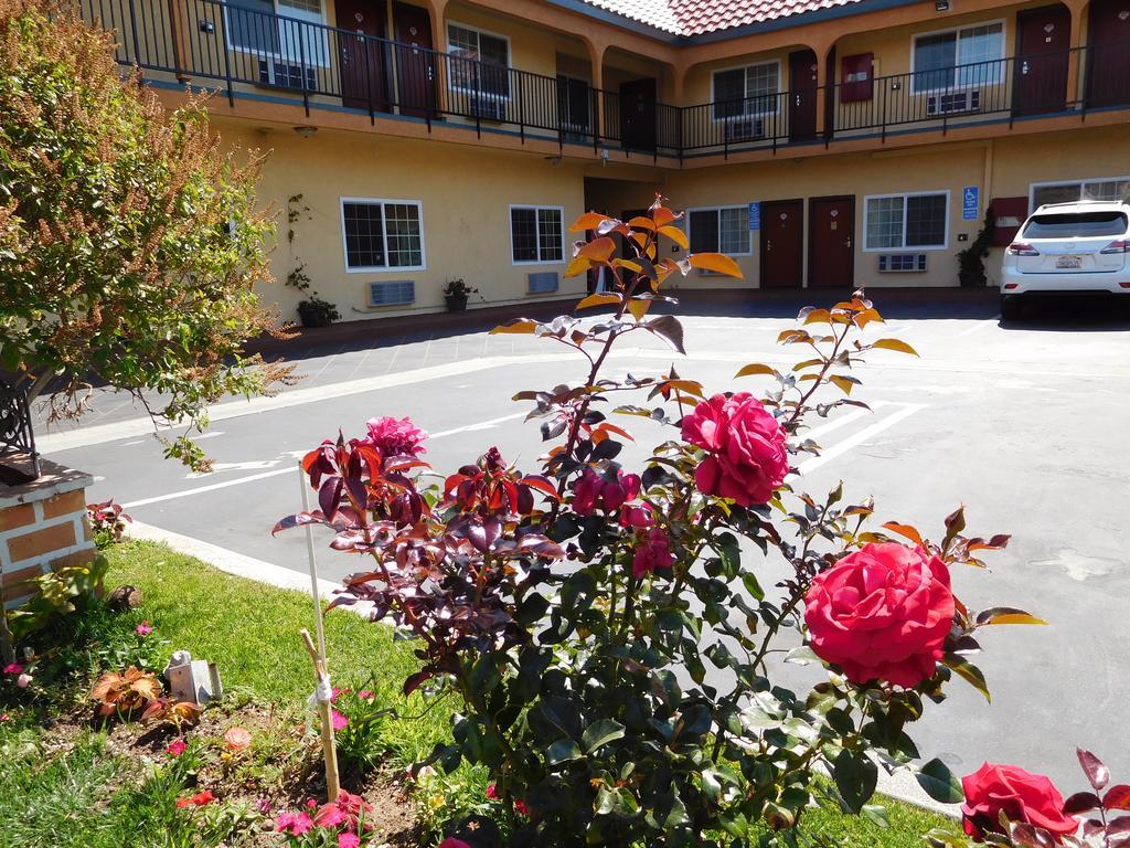 Diamond Inn Inglewood Bagian luar foto